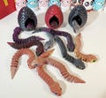 3D Printed Articulated Baby Bush Viper with Eggs Toy | Baby Dragon Snake