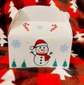 Christmas Mystery Box for Kids