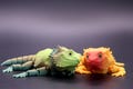 Articulated 3D-Printed Bearded Dragon – Poseable and Realistically Detailed! Keychain and mini available