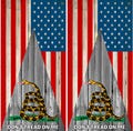 Cornhole Wrap | Digital Download | American Flag Dont Tread on Me | Gadsen Flag | Cornhole Game Wrap | Decals | Large Format Print File