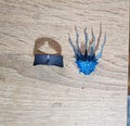 Sh Figuarts Effects
