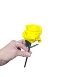 forbidden roses, skull roses, 3d printed,gifts