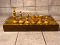 Soviet chess set from the match Botvinnik - Flohr 1933 in very good condition with weighting. Chess gift for chess lovers and collectors!
