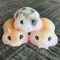 Hamster Squishy