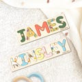 Baby Nursery decor, Personalized Wooden Toy for Toodlers, 1st Birthday Gift, Baby shower gift, 1st christmas gift, new baby gift NP41