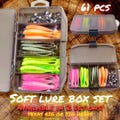 61 piece Lure fishing Set .Fishing Lure fishing Gift. Soft artificial lures for jigging for predater fish.Jig heads.Complete In organizer.