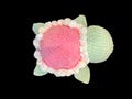 Flower Turtles Plushie Gifts Sea Turtles Daisy Fun Snuggles Plushie Crochet