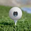 Personalized Lions Football Golf Balls, 6pcs - Sports Fan Gift, Golf Accessories, Golf Lover Gift, Custom Golf Balls, Golf Gifts for Men