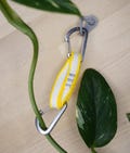 White & Yellow Rock Climbing Alpine Quickdraw Set for Climbing Vines