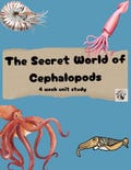 Cephalopod Homeschool Unit Study: 4-Week Ocean Exploration