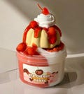 Red Cherry Tart-DIY Clay Slime- Icee Slime