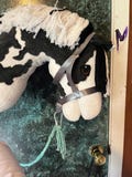 hobby horse halter and lead rope horse not included A3 halter