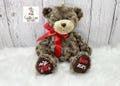 Valentine's Day Teddy Bear 2025, My 1st Valentine's Day Personalized Bear, Baby's First Valentine's Day Custom Bear, Plush Valentine Gift