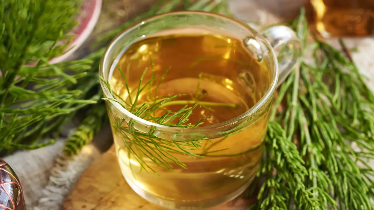 para qué sirve la cola de caballo