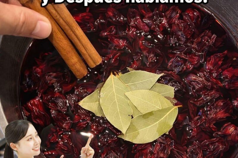 te de Jamaica canela y limon