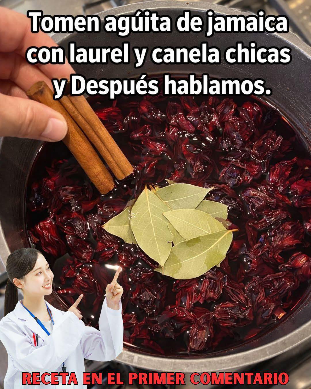 te de Jamaica canela y limon