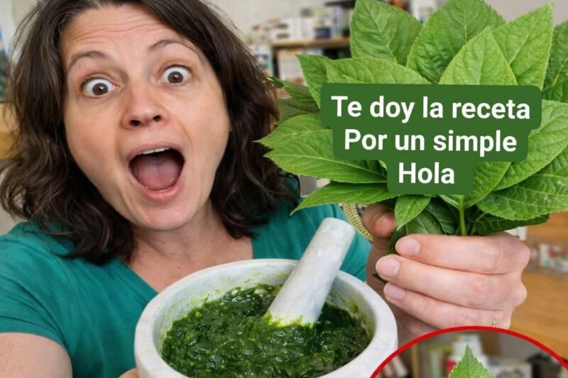 El Poder del Jugo de Espinaca: Beneficios Reales, Propiedades y Cómo Prepararlo en Casa