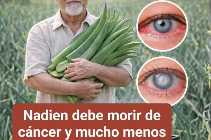 7 Beneficios Científicos del Aloe Vera y Cómo Prepararlo en Casa