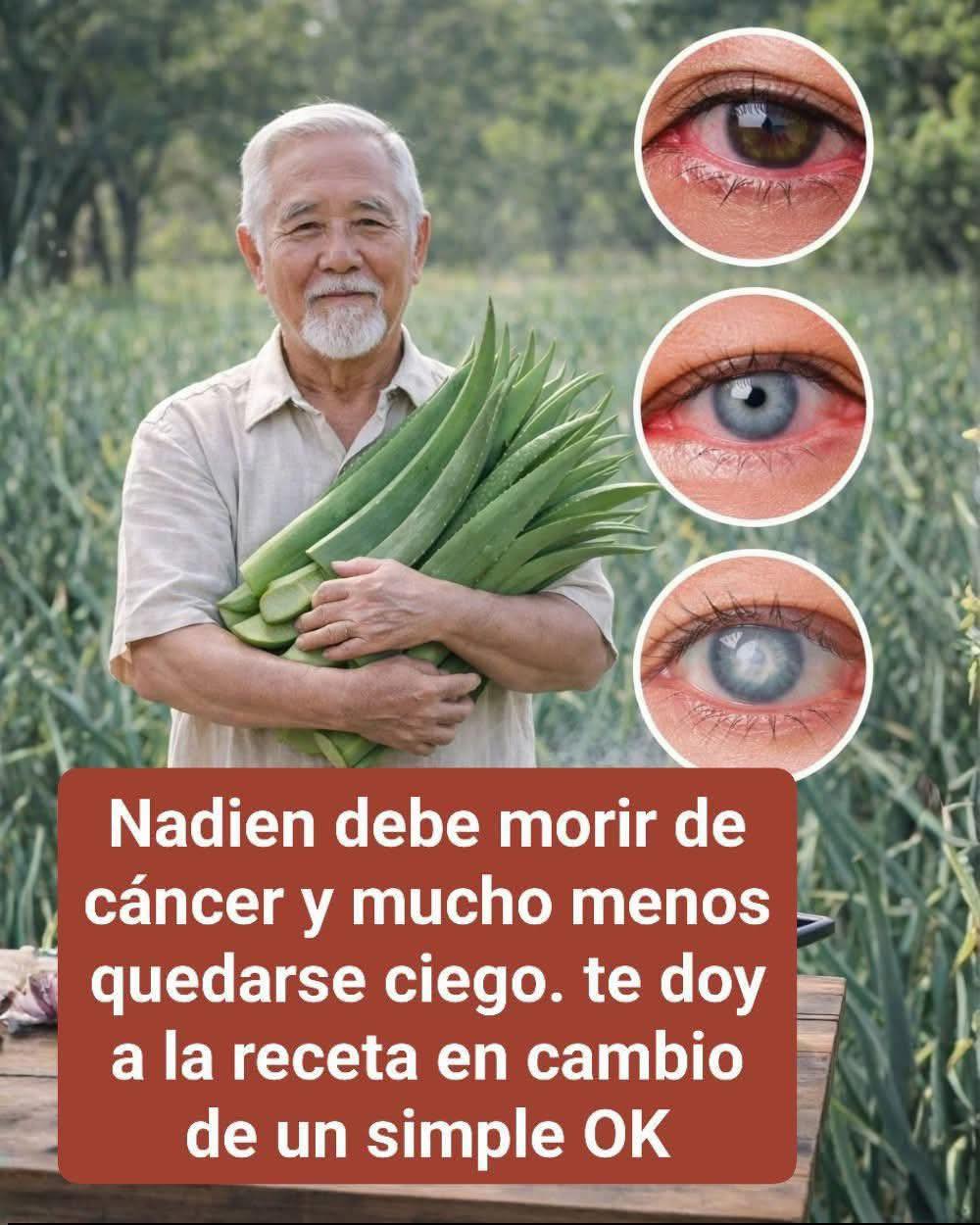 Los antioxidantes presentes en el aloe ayudan a combatir el daño causado por los radicales libres.