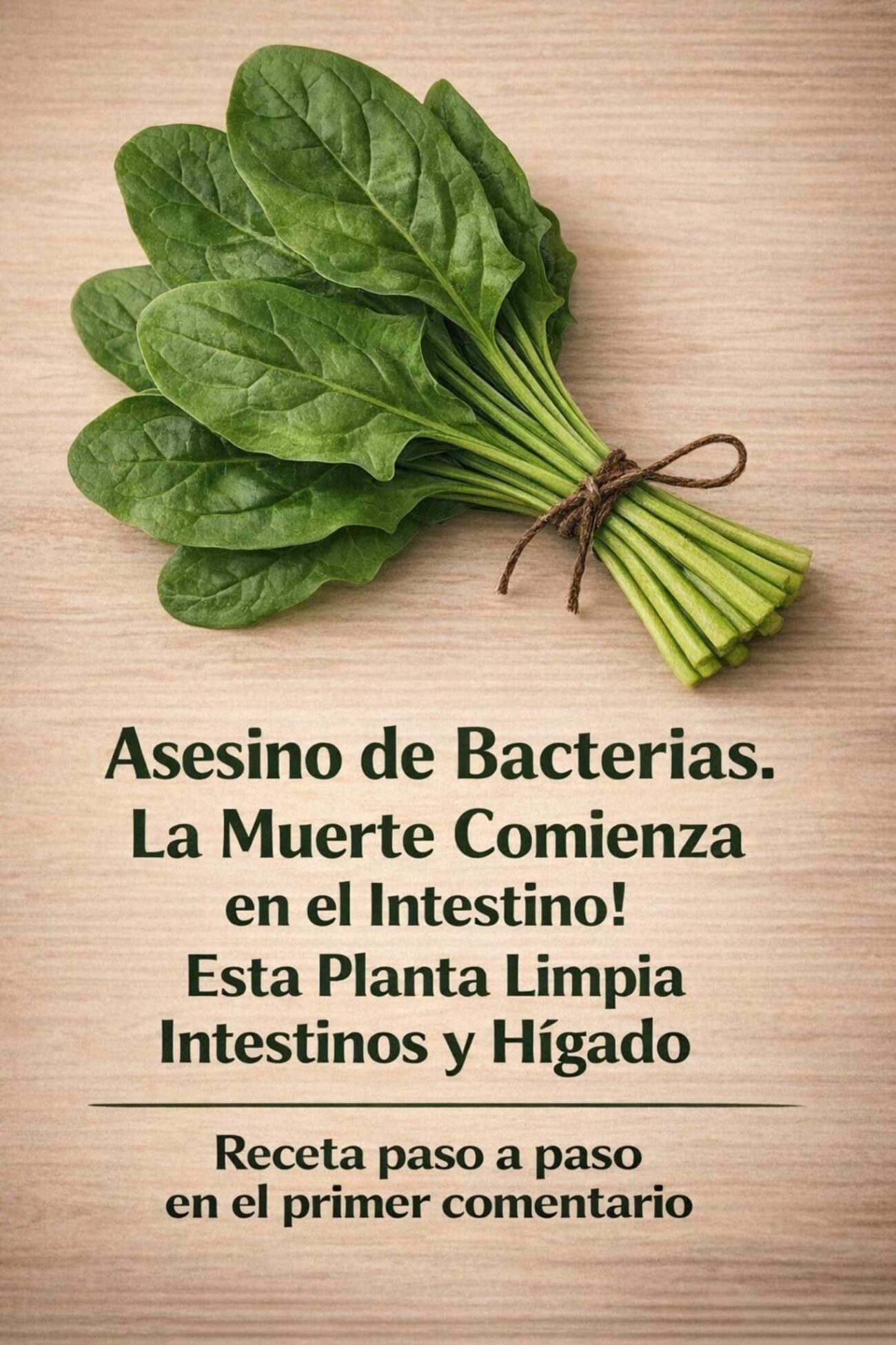 Espinaca: el vegetal verde que mejora tu digestión y aporta energía natural