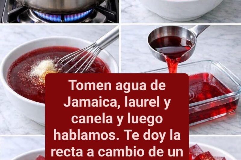 Gelatina de Jamaica: receta saludable, refrescante y llena de antioxidantes